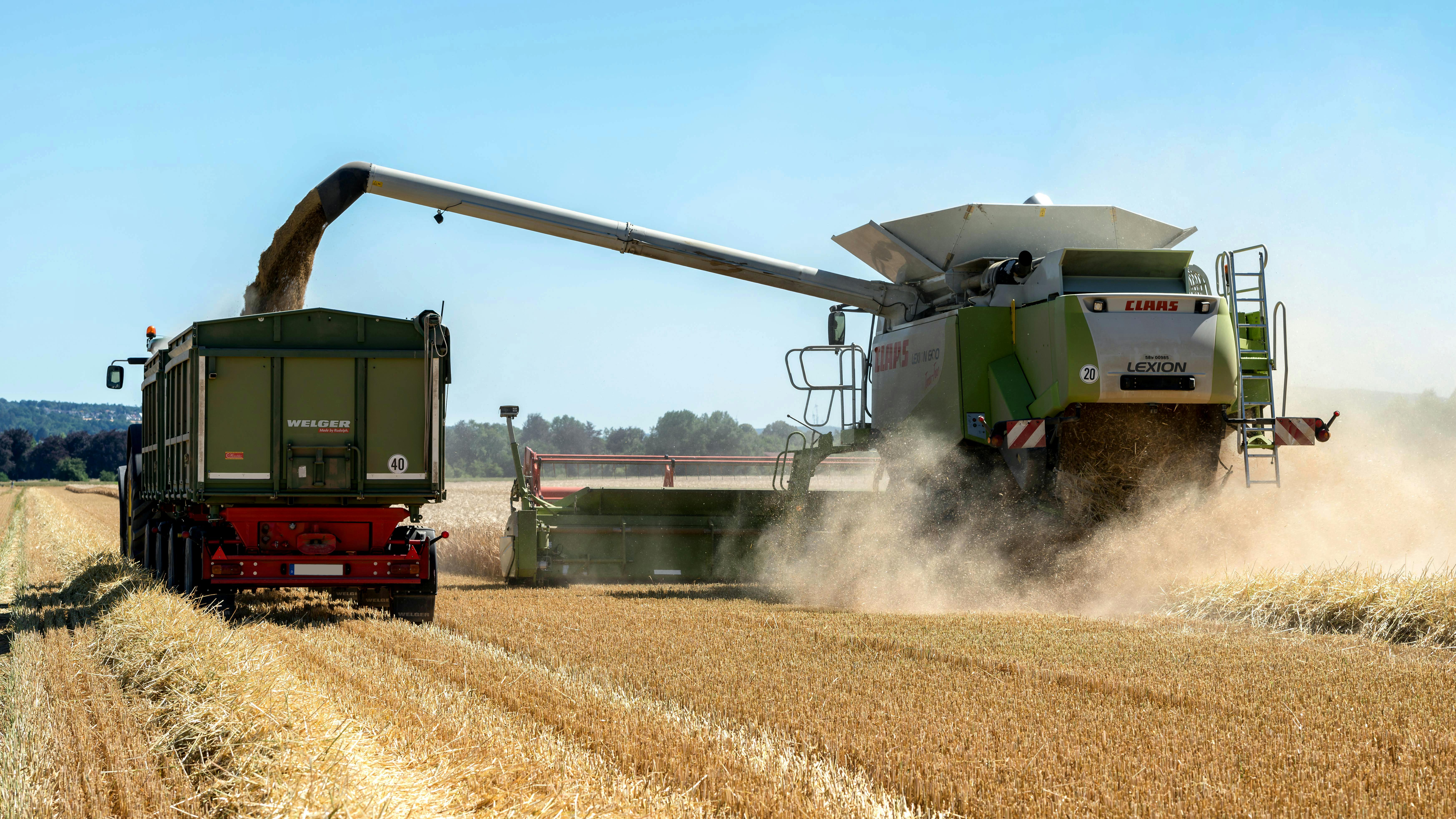 Nullam id dolor elit id nibh